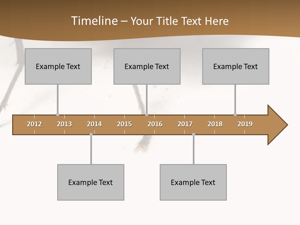 Spray Colorfull Insect PowerPoint Template