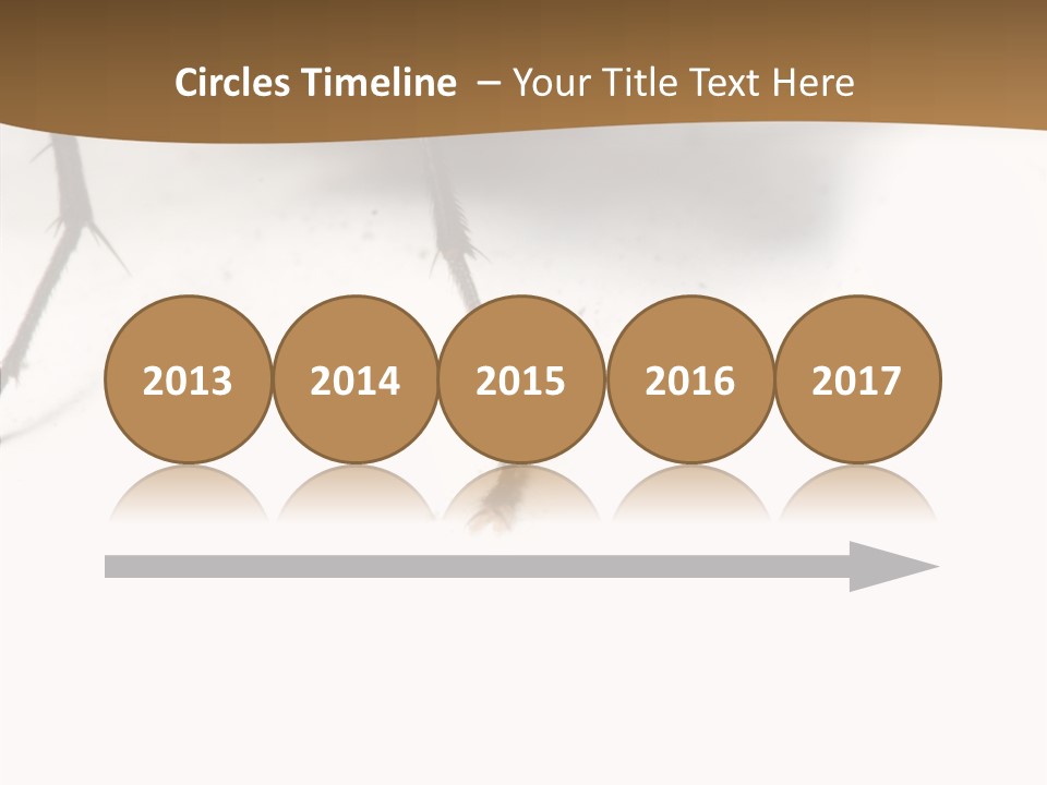 Spray Colorfull Insect PowerPoint Template