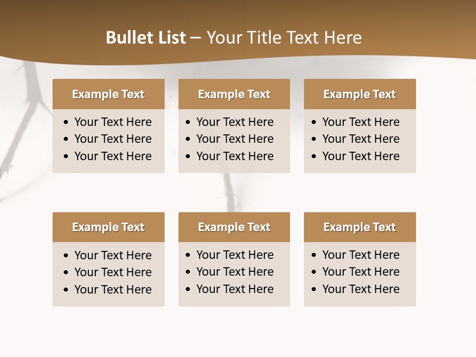 Spray Colorfull Insect PowerPoint Template