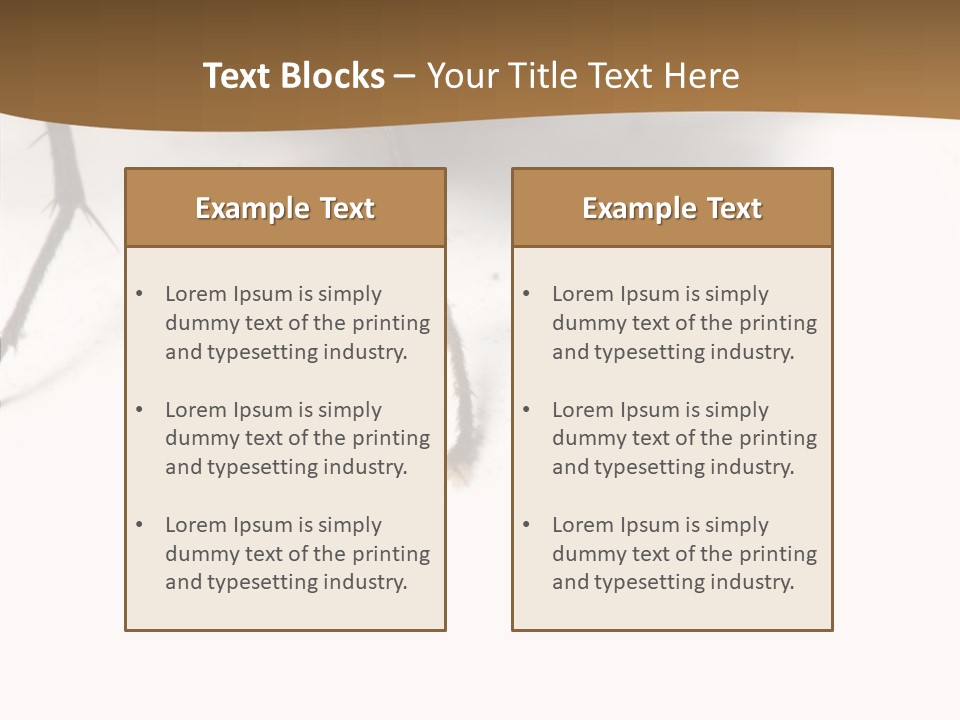 Spray Colorfull Insect PowerPoint Template