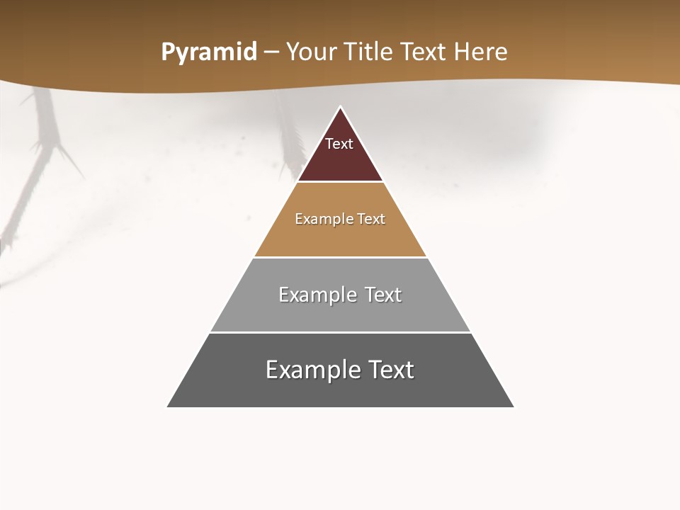 Spray Colorfull Insect PowerPoint Template