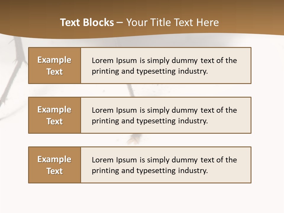 Spray Colorfull Insect PowerPoint Template