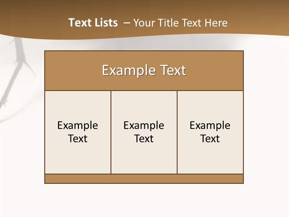 Spray Colorfull Insect PowerPoint Template