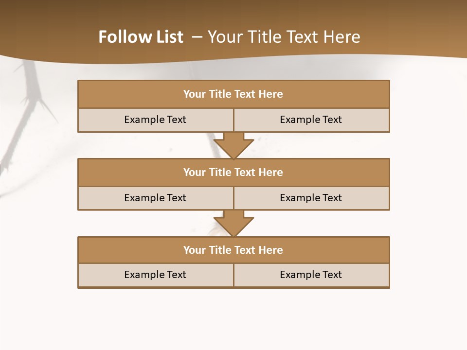 Spray Colorfull Insect PowerPoint Template