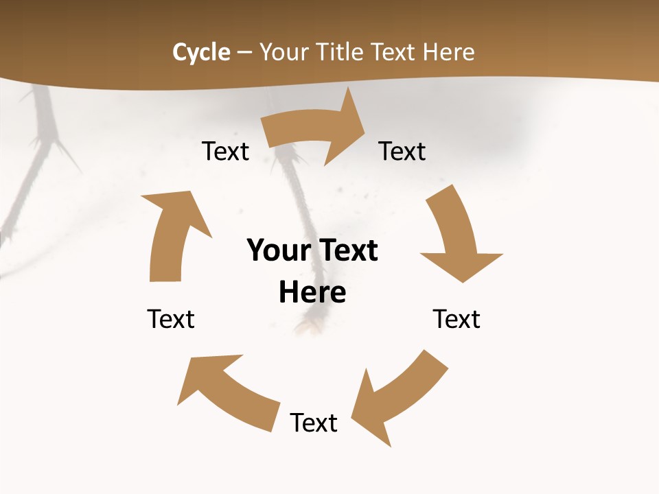 Spray Colorfull Insect PowerPoint Template