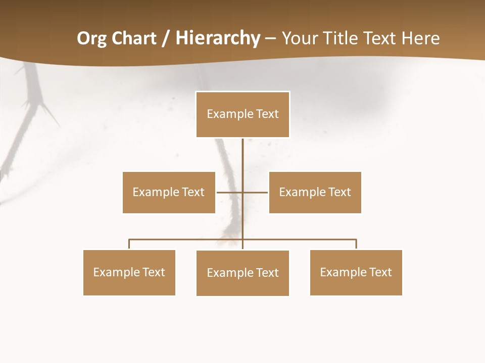 Spray Colorfull Insect PowerPoint Template