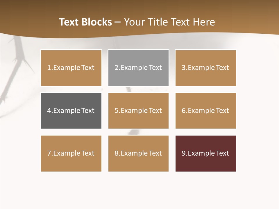 Spray Colorfull Insect PowerPoint Template