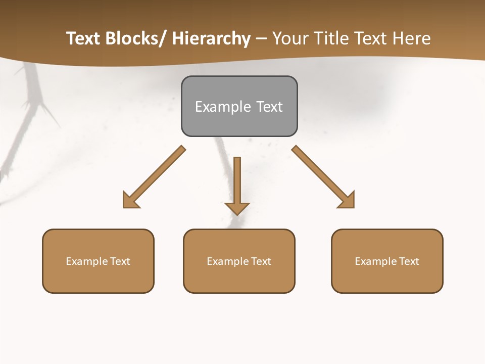 Spray Colorfull Insect PowerPoint Template