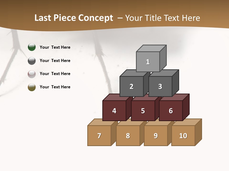 Spray Colorfull Insect PowerPoint Template