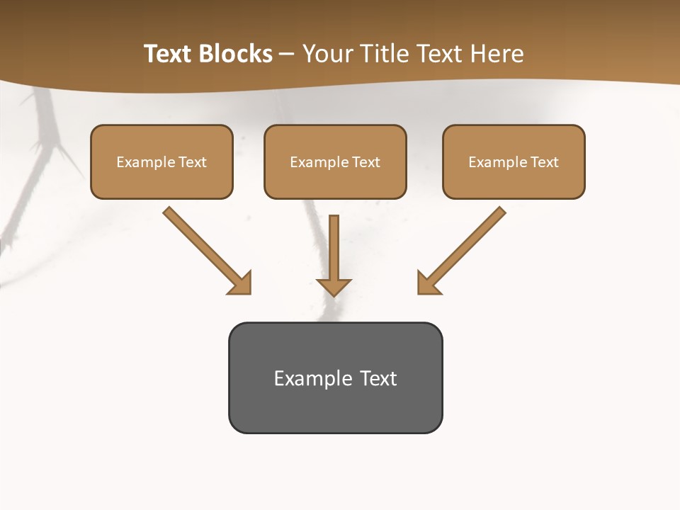 Spray Colorfull Insect PowerPoint Template