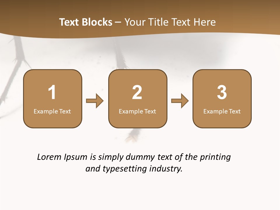Spray Colorfull Insect PowerPoint Template