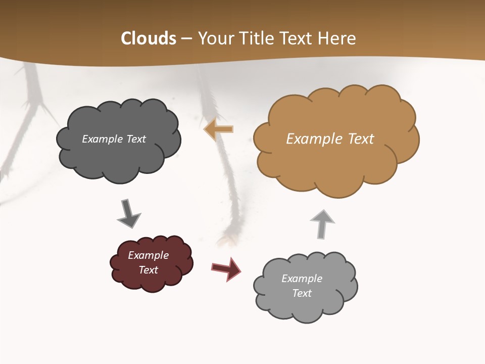 Spray Colorfull Insect PowerPoint Template