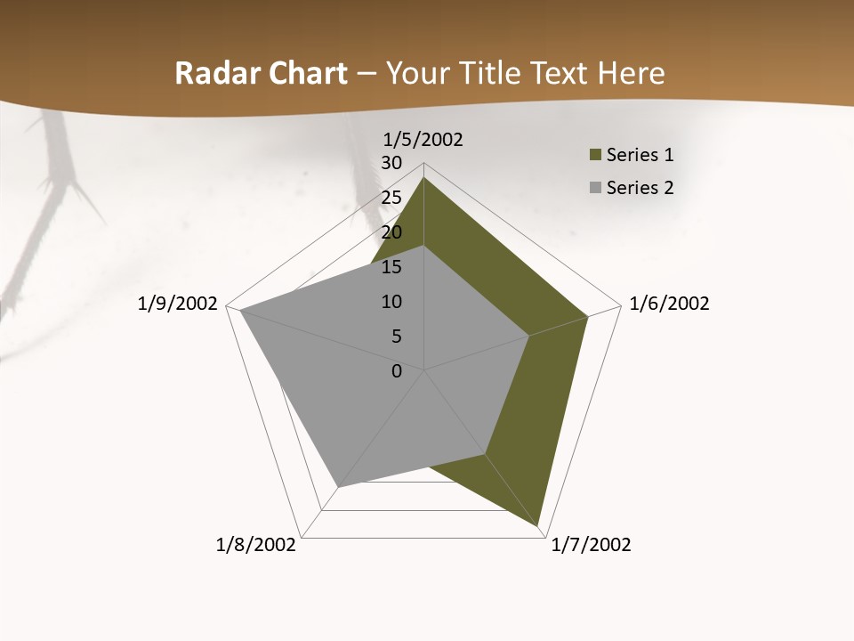 Spray Colorfull Insect PowerPoint Template