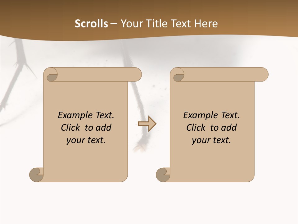 Spray Colorfull Insect PowerPoint Template