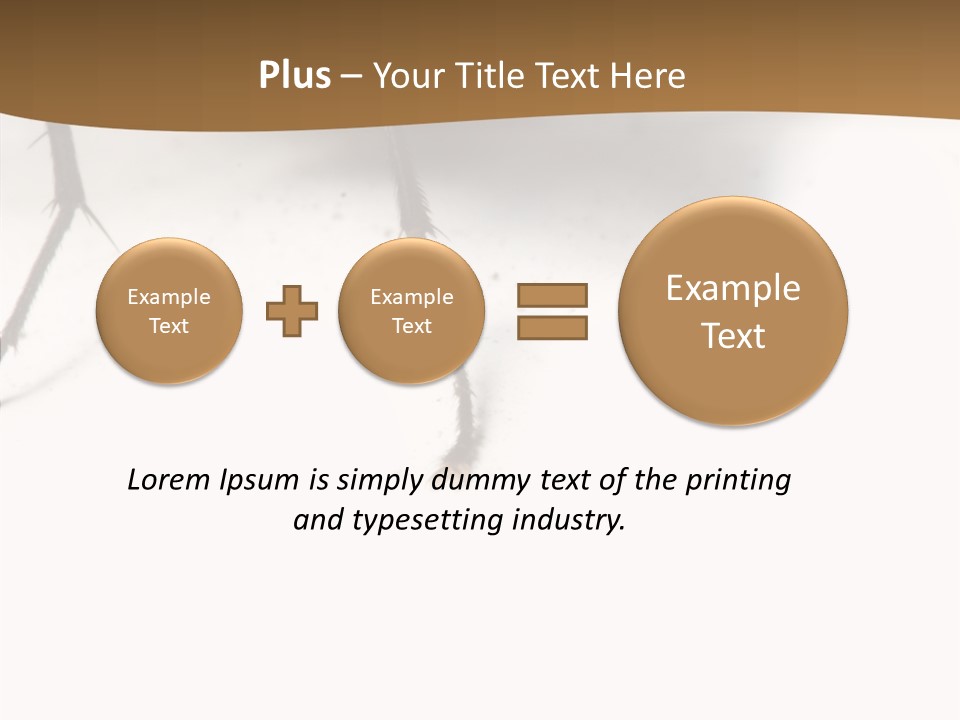 Spray Colorfull Insect PowerPoint Template