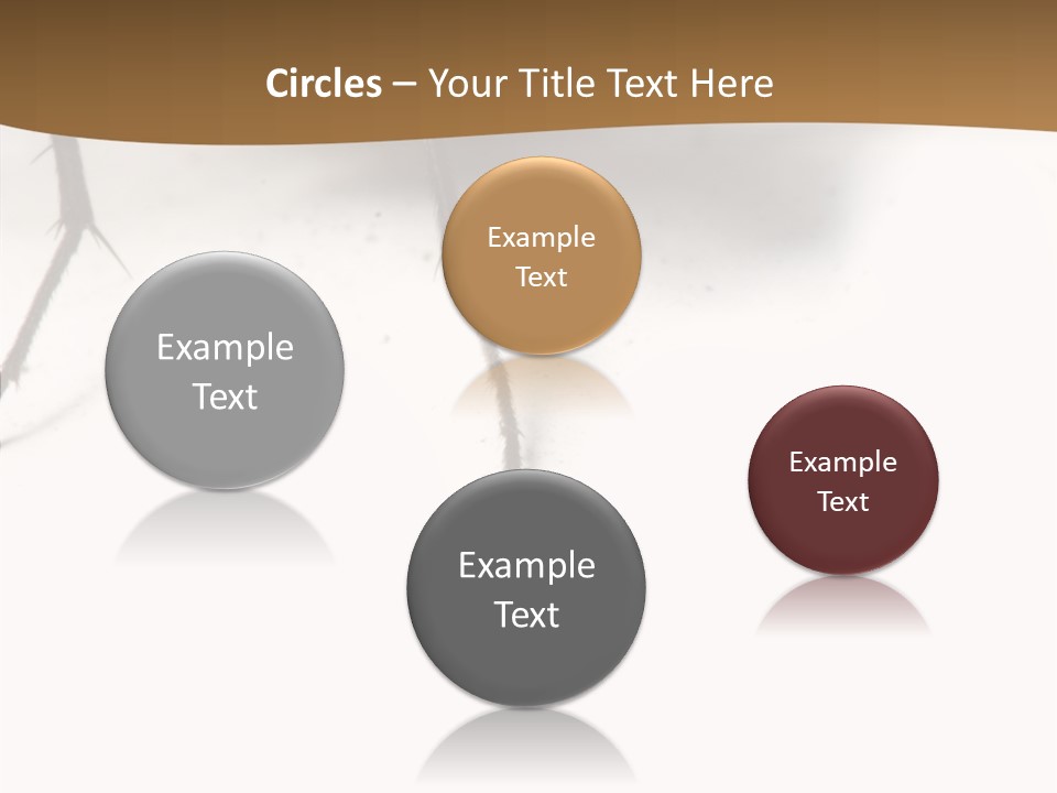 Spray Colorfull Insect PowerPoint Template