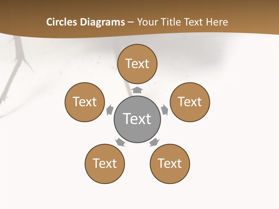 Spray Colorfull Insect PowerPoint Template