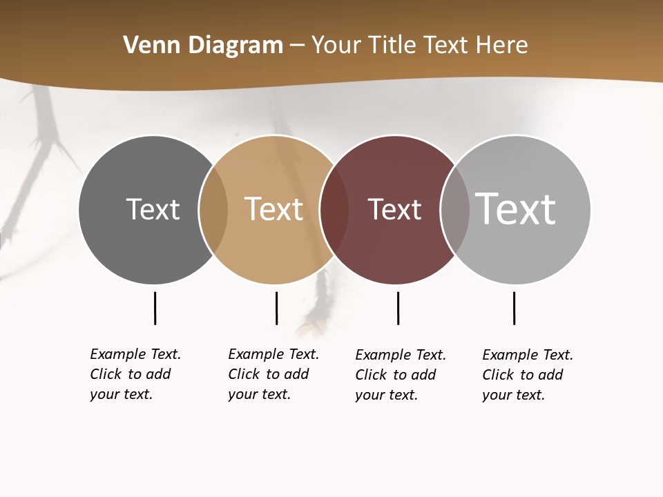 Spray Colorfull Insect PowerPoint Template