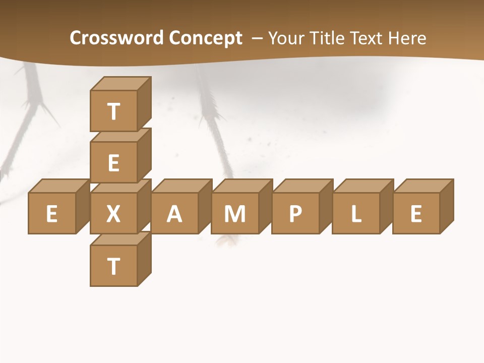 Spray Colorfull Insect PowerPoint Template