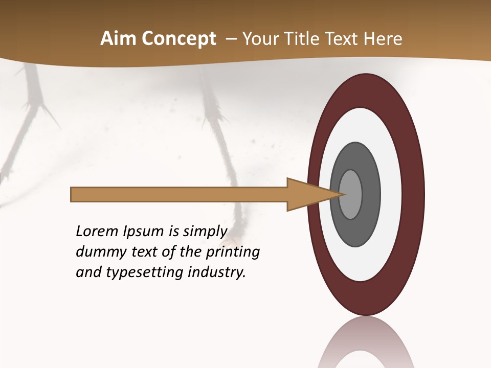 Spray Colorfull Insect PowerPoint Template