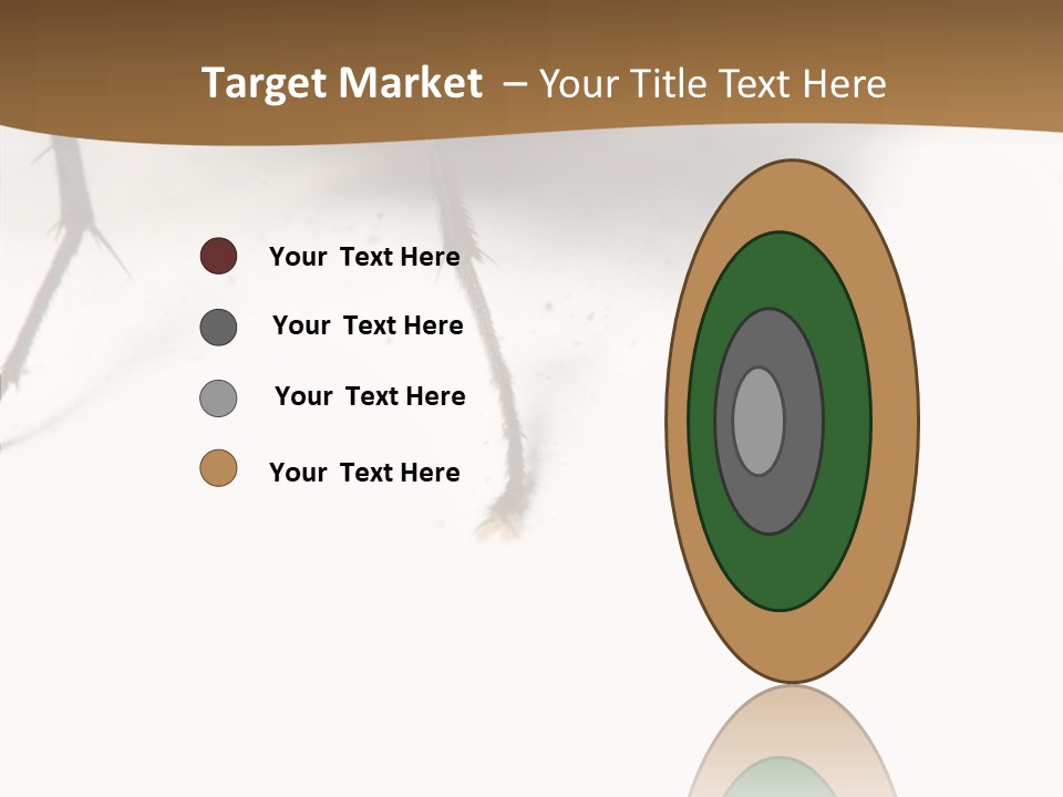 Spray Colorfull Insect PowerPoint Template