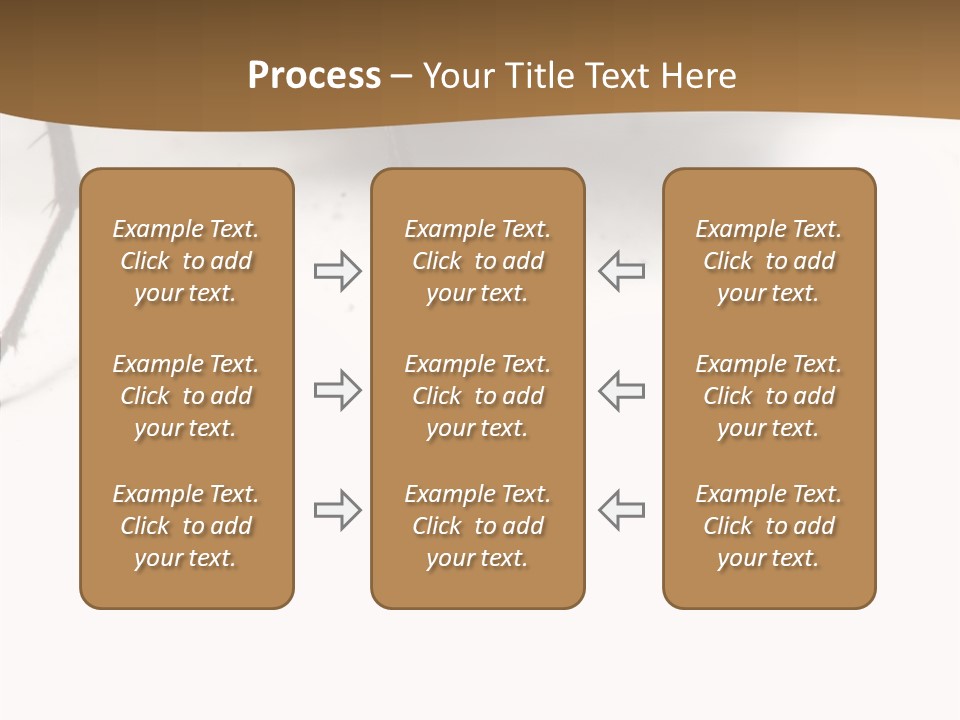 Spray Colorfull Insect PowerPoint Template