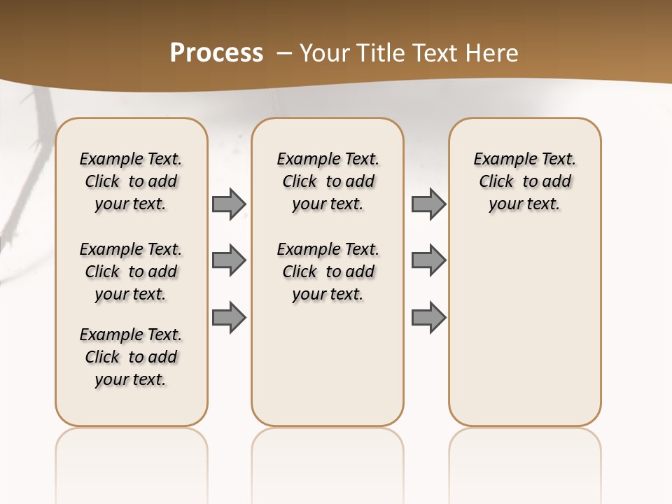 Spray Colorfull Insect PowerPoint Template