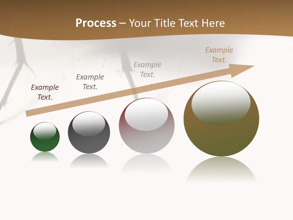 Spray Colorfull Insect PowerPoint Template