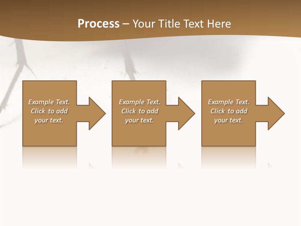 Spray Colorfull Insect PowerPoint Template