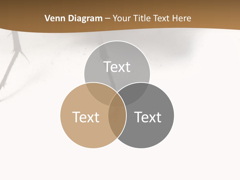 Spray Colorfull Insect PowerPoint Template