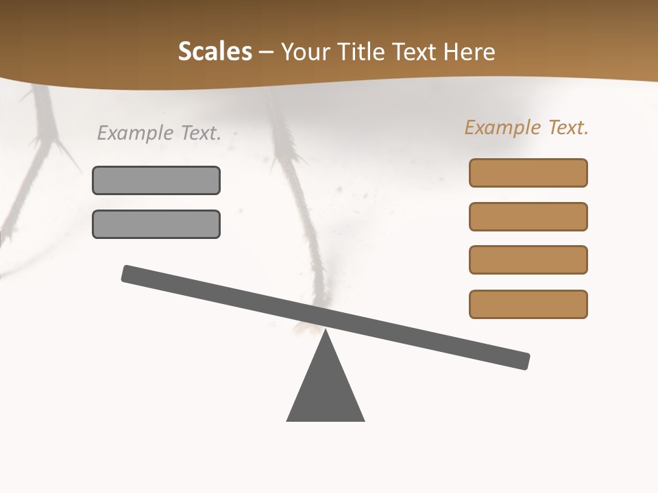 Spray Colorfull Insect PowerPoint Template