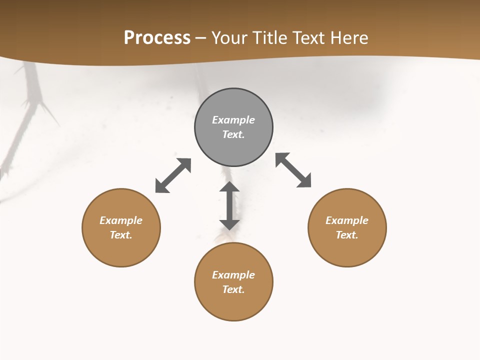 Spray Colorfull Insect PowerPoint Template