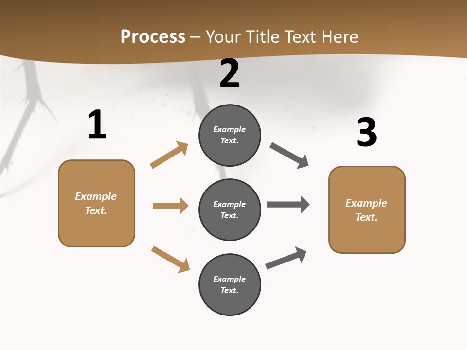 Spray Colorfull Insect PowerPoint Template
