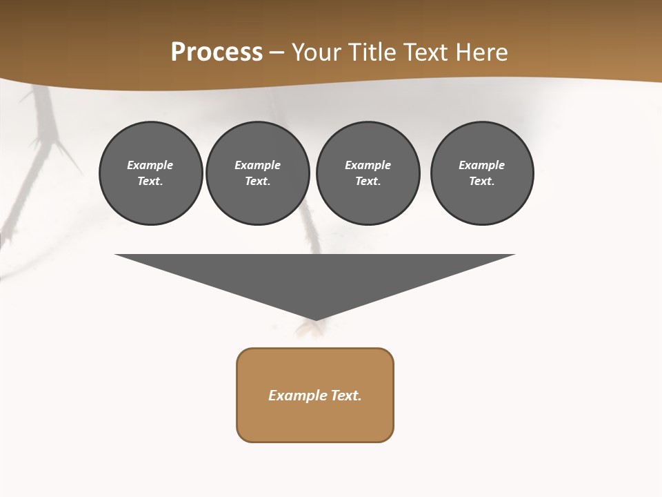 Spray Colorfull Insect PowerPoint Template