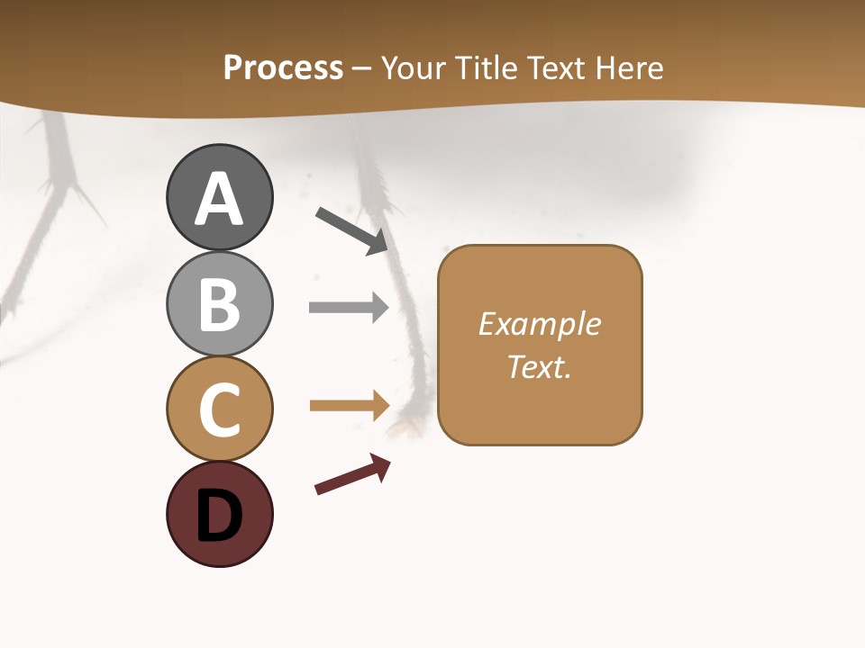 Spray Colorfull Insect PowerPoint Template