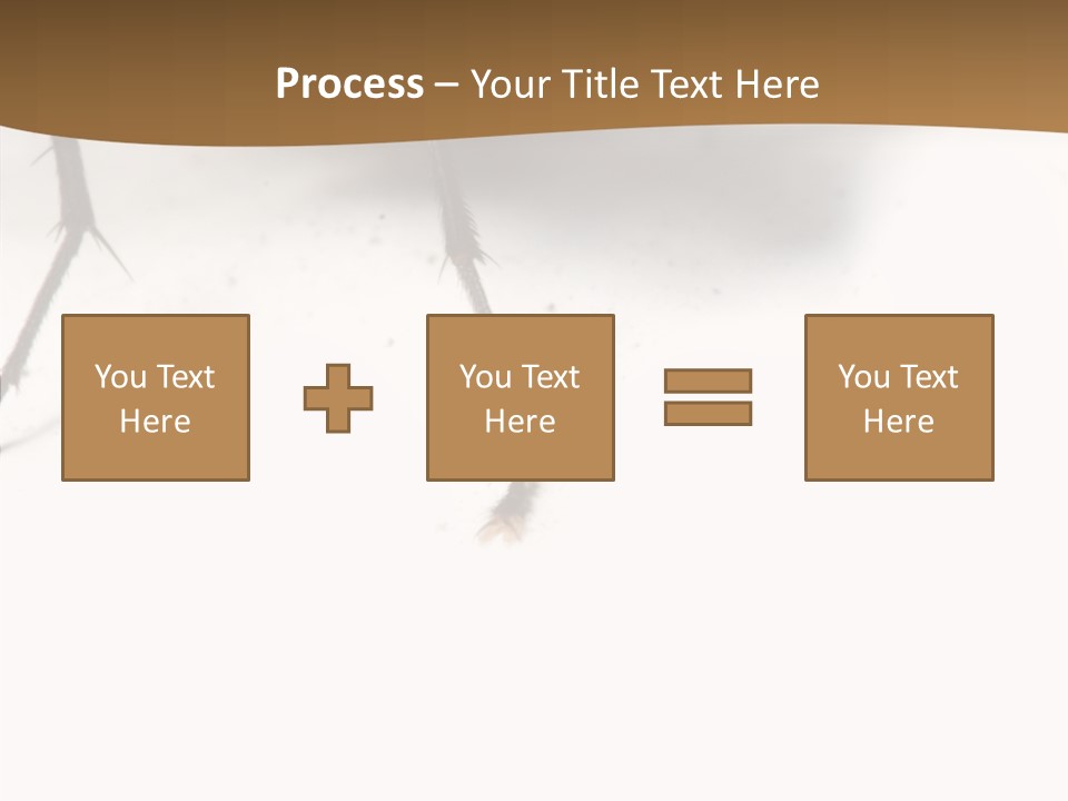 Spray Colorfull Insect PowerPoint Template