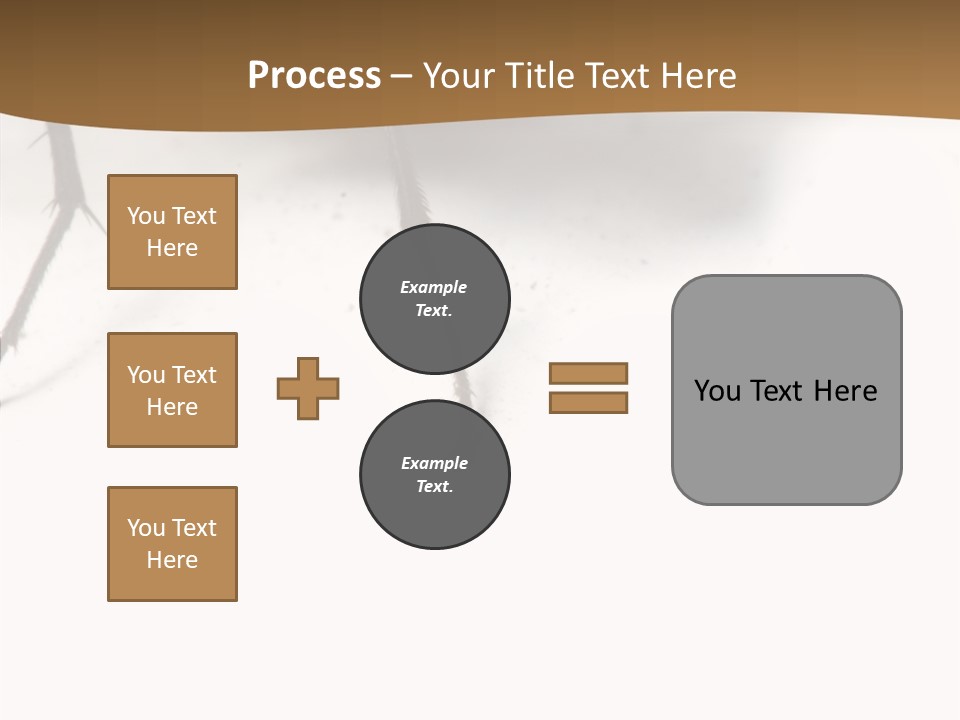 Spray Colorfull Insect PowerPoint Template