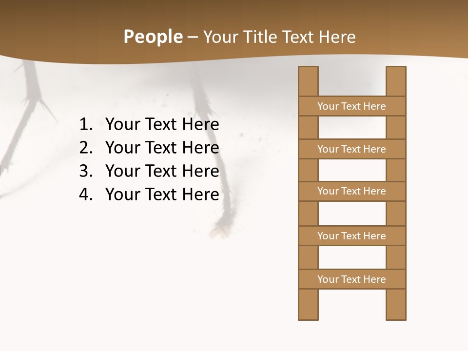 Spray Colorfull Insect PowerPoint Template