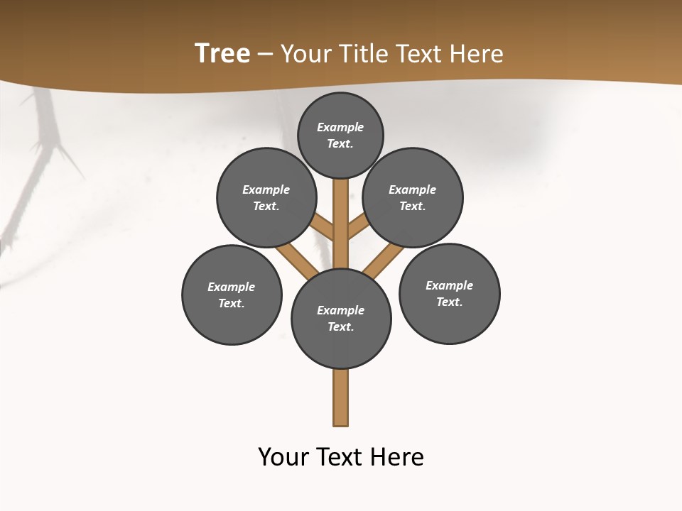 Spray Colorfull Insect PowerPoint Template