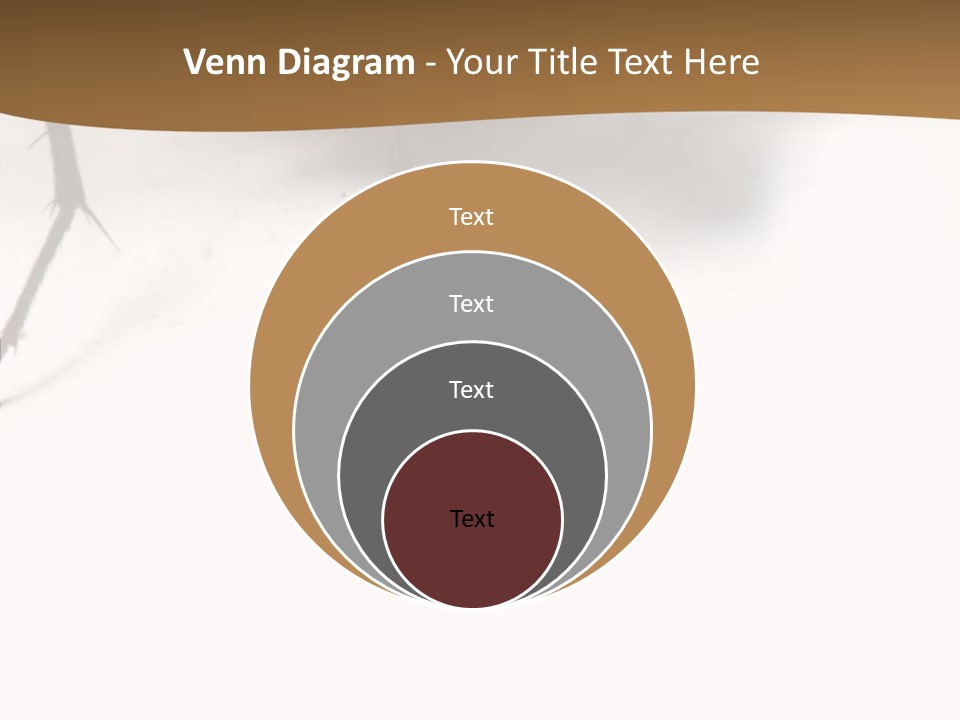 Spray Colorfull Insect PowerPoint Template