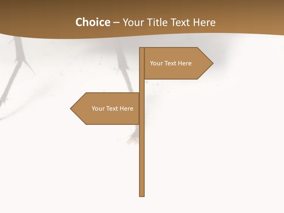 Spray Colorfull Insect PowerPoint Template