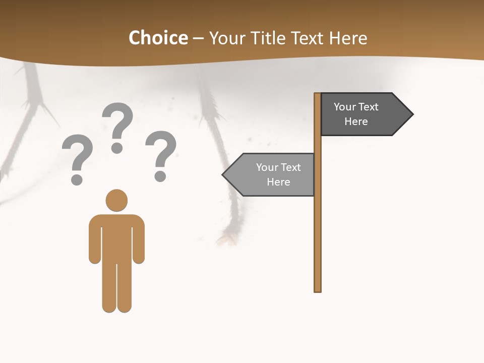 Spray Colorfull Insect PowerPoint Template