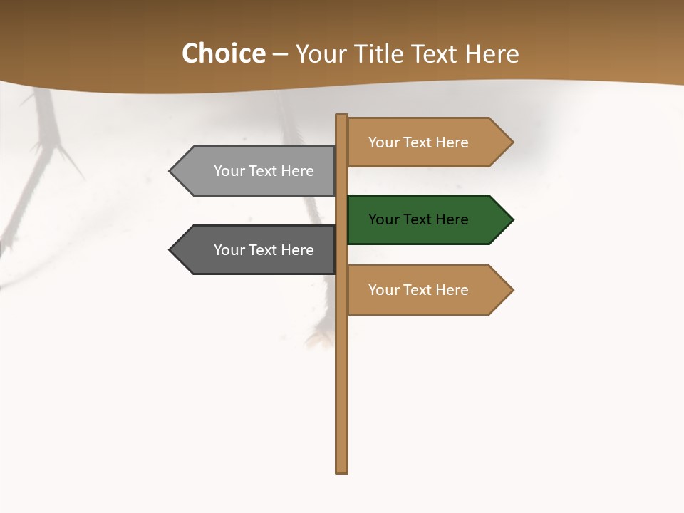Spray Colorfull Insect PowerPoint Template