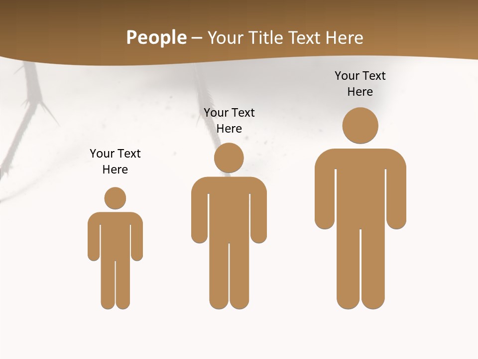 Spray Colorfull Insect PowerPoint Template