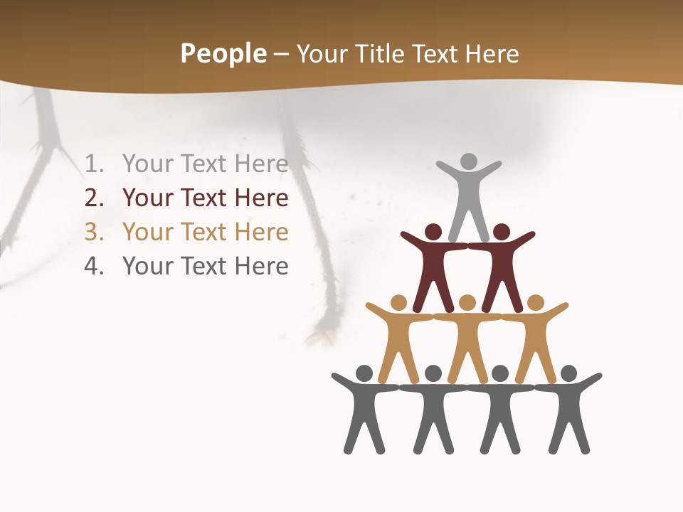 Spray Colorfull Insect PowerPoint Template