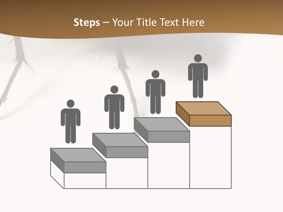 Spray Colorfull Insect PowerPoint Template