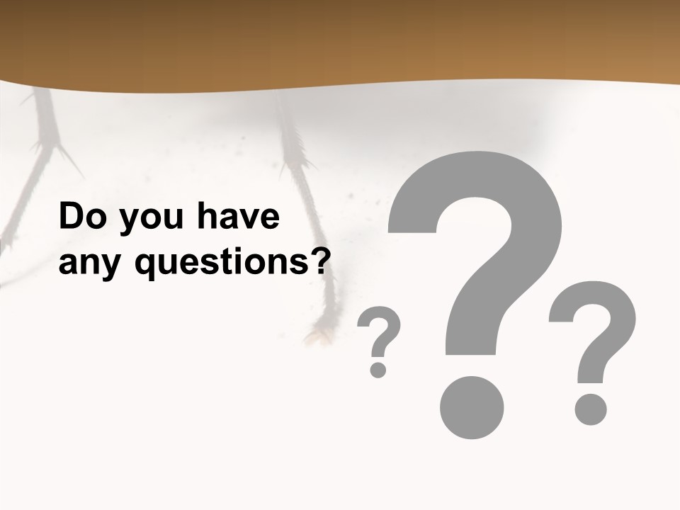 Spray Colorfull Insect PowerPoint Template