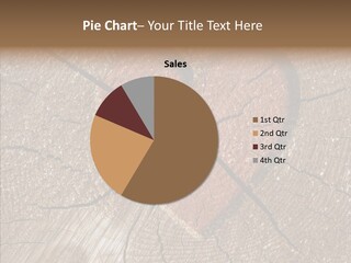 Graphic Appearance Illustration PowerPoint Template