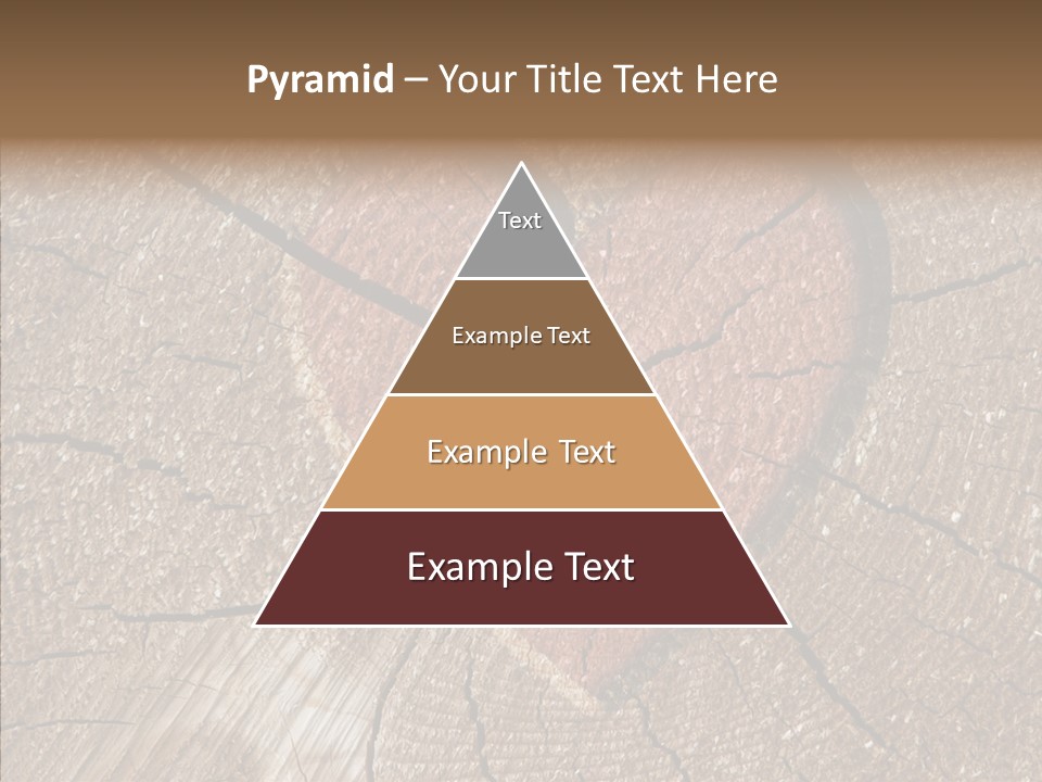 Graphic Appearance Illustration PowerPoint Template