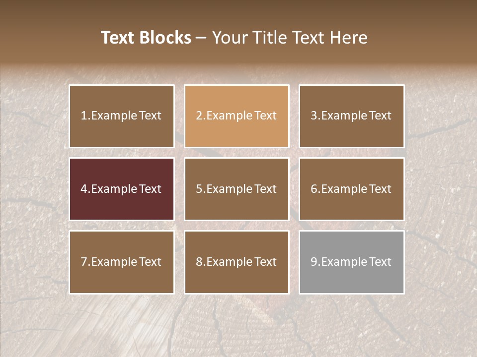 Graphic Appearance Illustration PowerPoint Template